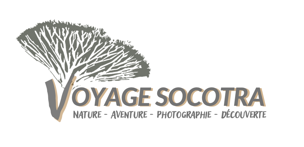 Voyage Socotra