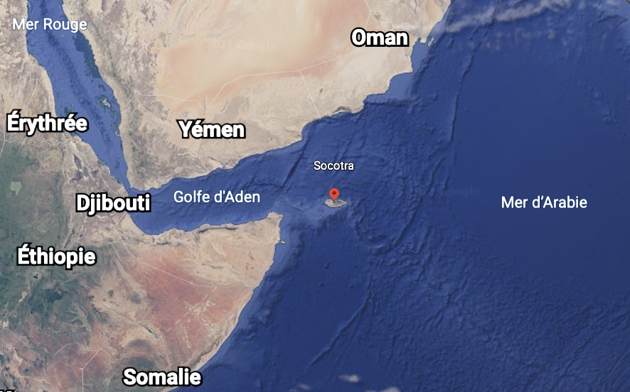 L'île de Socotra ? | Voyage Socotra
